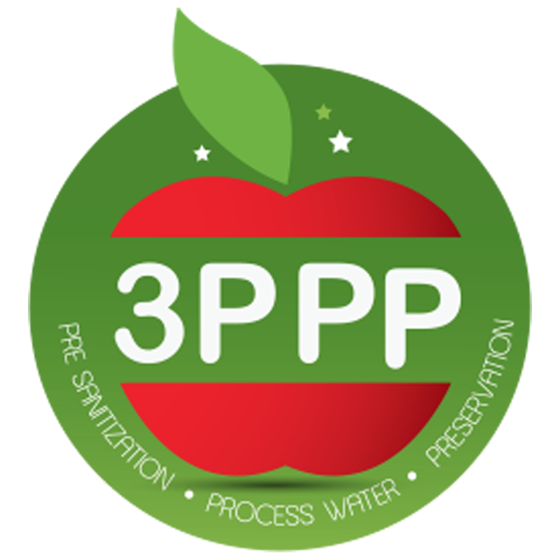 WHAT IS THE 3P CONCEPT?