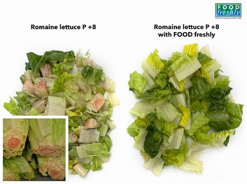 FOOD freshly, l’azienda tedesca capace di risolvere i problemi nella IV gamma