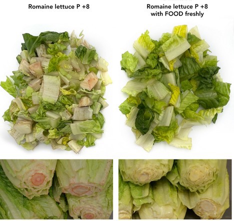 “Branche ist sich einig, dass das Wachstumspotenzial in frisch geschnittenem Obst und Gemüse außer Salat liegt”